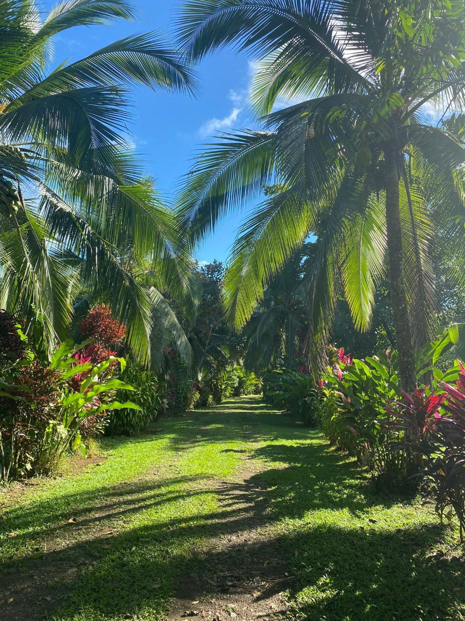 Finca La Paz - Sarapiqui Puerto Viejo de Sarapiqui Экстерьер фото